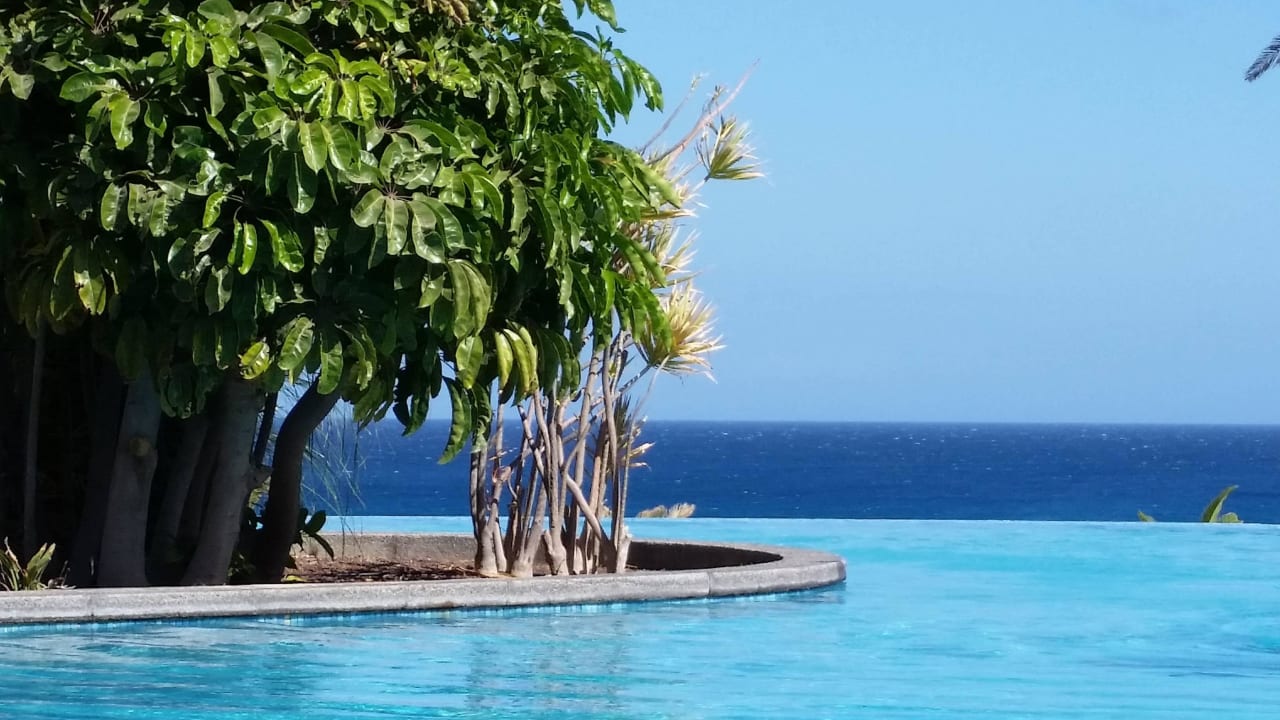 Sieht aus wie im Prospekt   R2 Pajara Beach