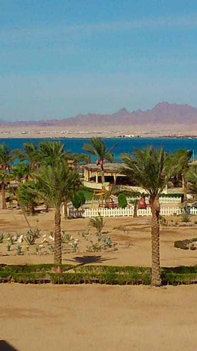 Ausblick aus dem Zimmer ROBINSON SOMA BAY