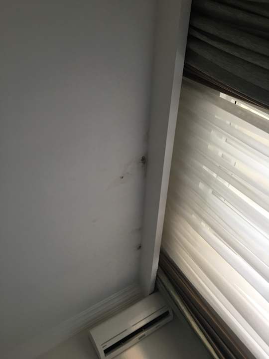 Zimmer Side Miami Beach