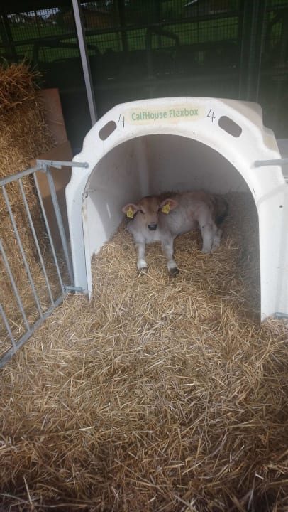 Sonstiges Ferienhof - Bauernhof Hefele