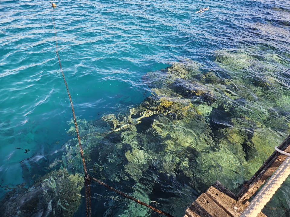 Strand Three Corners Fayrouz Plaza Beach Resort