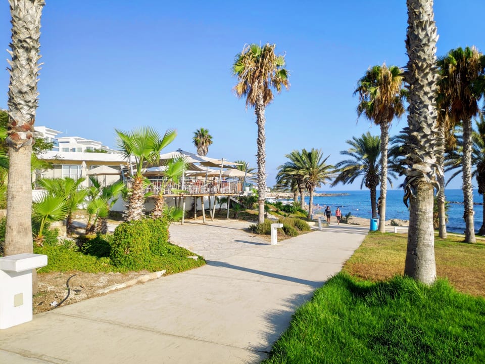 Ausblick Alexander The Great Beach Hotel