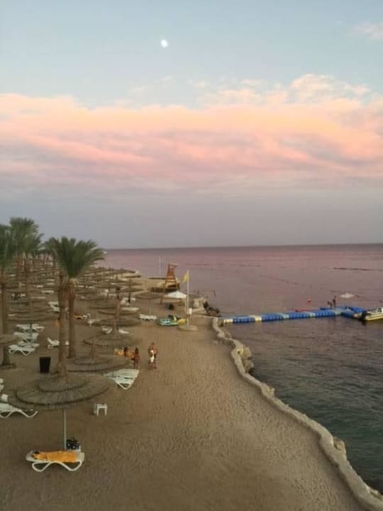 Am Strand  Reef Oasis Blue Bay Resort