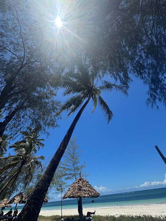 Gartenanlage Hotel Diani Sea Lodge