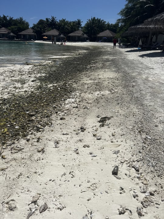 Strand Cinnamon Dhonveli Maldives