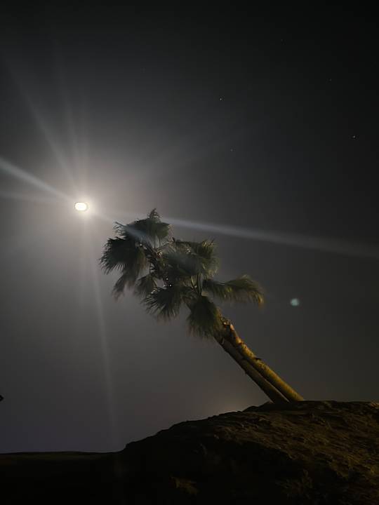 Ausblick Malikia Resort Abu Dabbab