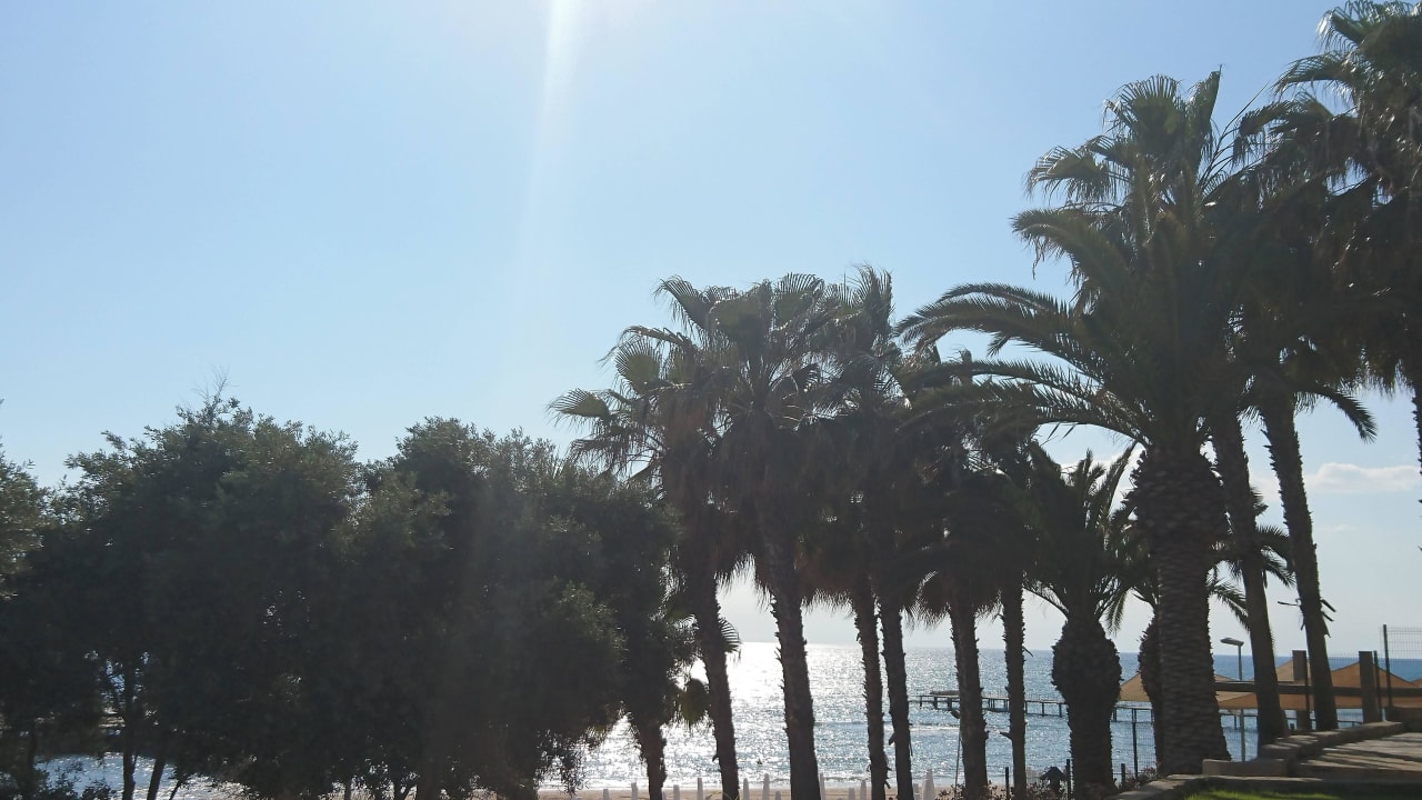 Arum Barut Collection  Arum Barut Collection