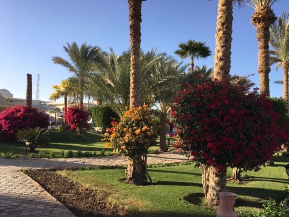 Gartenanlage Brayka Bay Resort