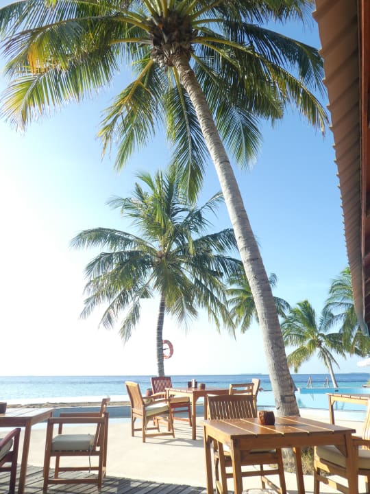 Gastro Filitheyo Island Resort