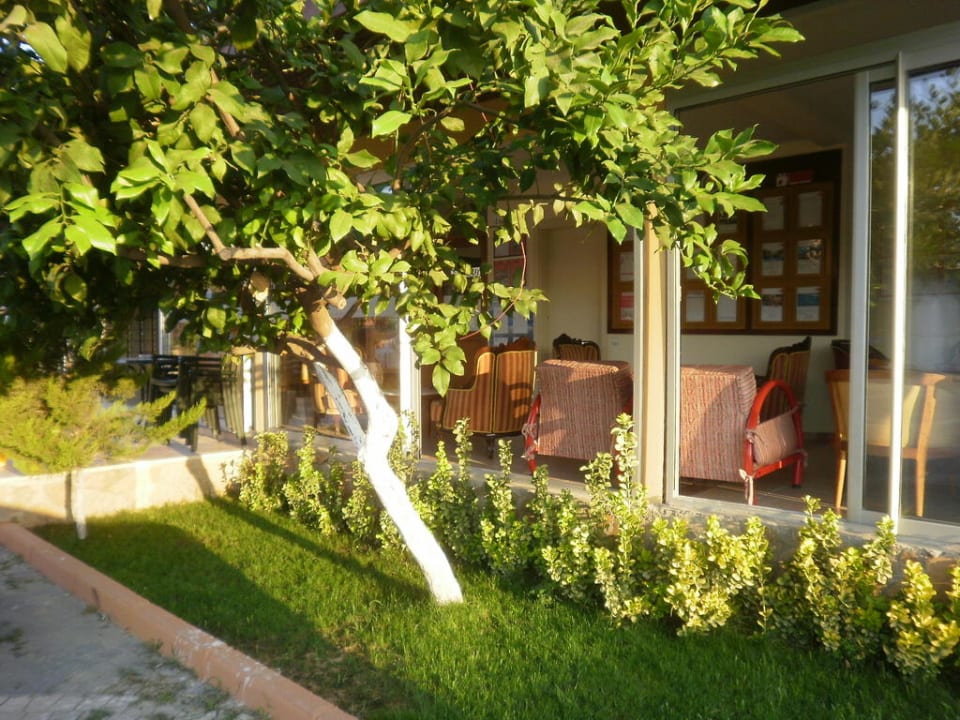 Rezeption Özlem Garden Hotel