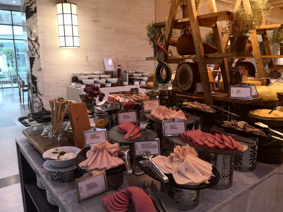 Gastro Acanthus Cennet Barut Collection