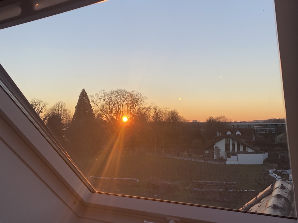 Ausblick Hotel Traube am See