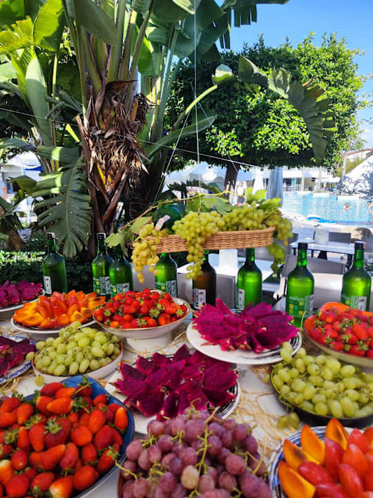 Gastro Seashell Resort