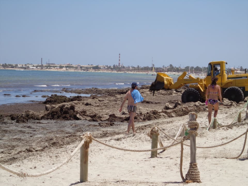 Der Bagger ohne Plan rein & raus und es stinkt noch  Djerba Aqua Resort
