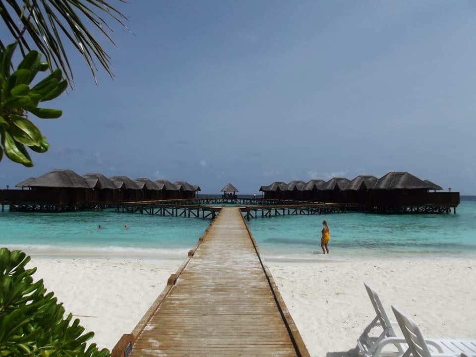 Wasserbungis Fihalhohi Maldives