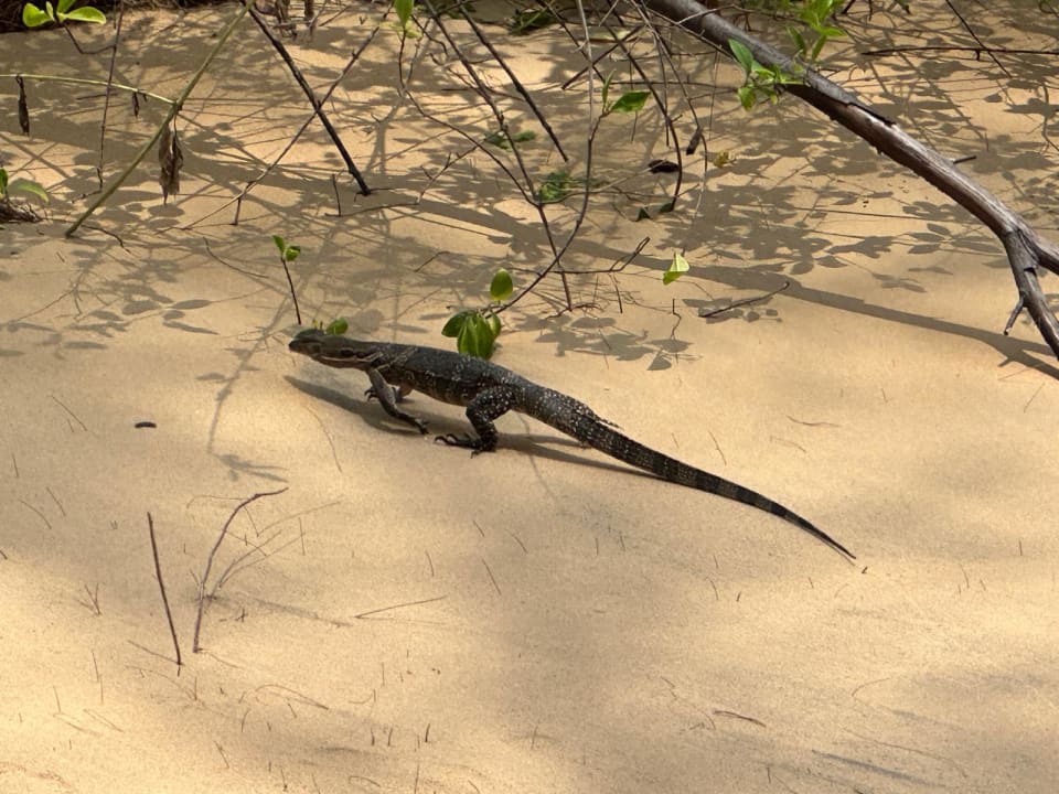 Strand Moracea by Khao Lak Resort