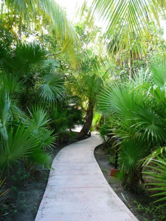 Die wunderschönen Wege. Catalonia Playa Maroma