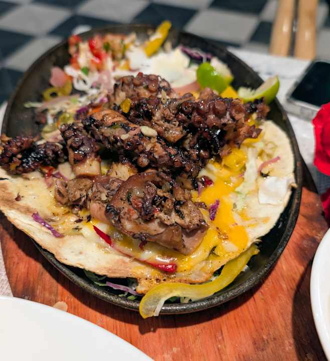 Gastro JAZ Elite Asteria