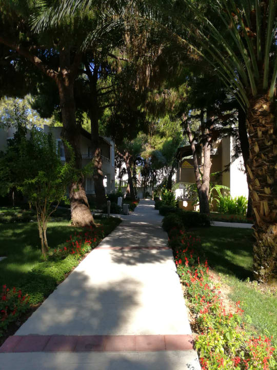 Gartenanlage Club Sidelya Hotel