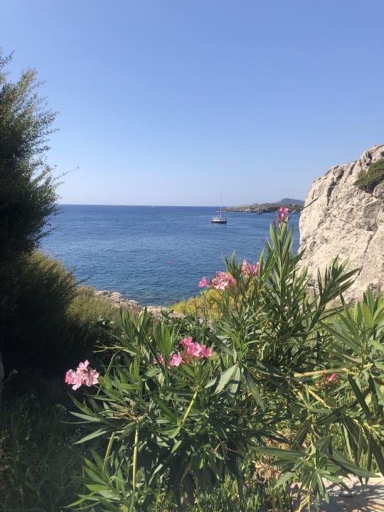 Zimmer Hotel Kalithea Horizon Royal