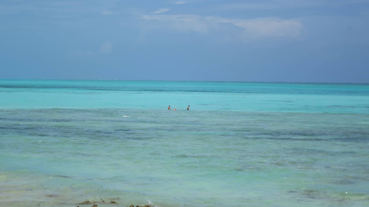 Ab dort wo die Personen sind konnte man schwimmen Reef & Beach Resort