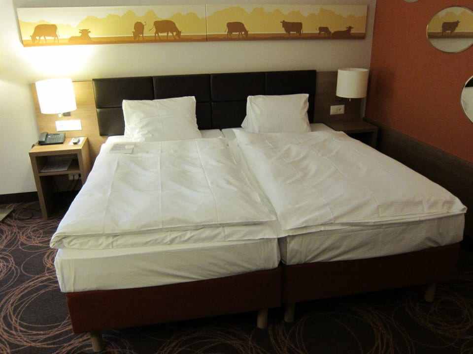 Zimmer 424 AMERON Luzern Hotel Flora