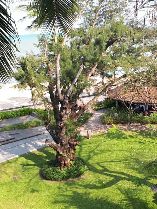 Gartenanlage The Regent Cha Am Beach Resort
