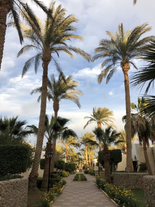 W drodze na plażę Regina Resort and Aqua Park Hurghada