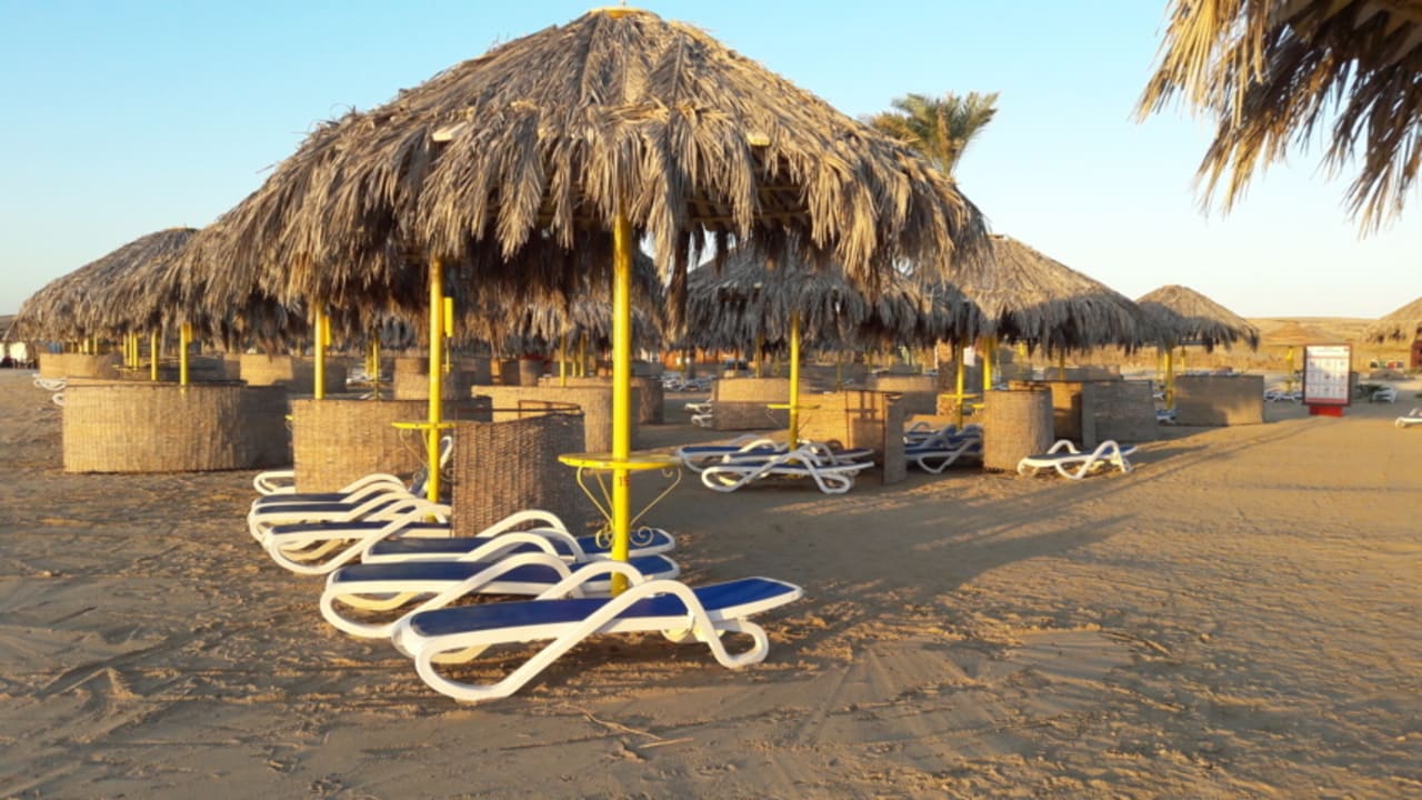 Tolle Liegen am Strand Hilton Marsa Alam Nubian Resort