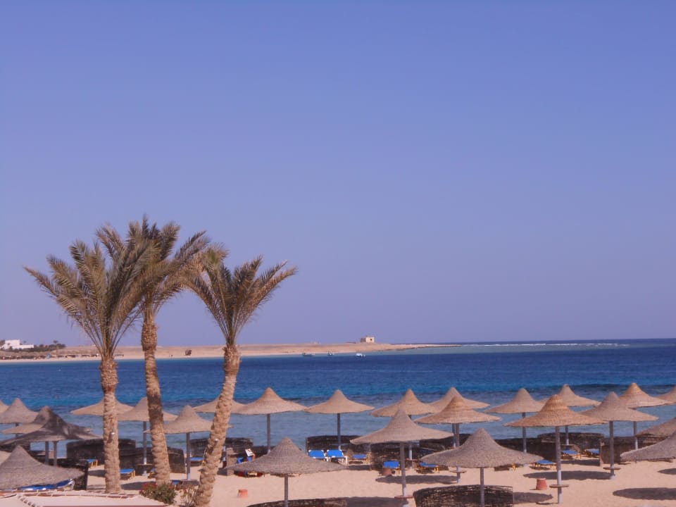 Schöner Strand Malikia Resort Abu Dabbab