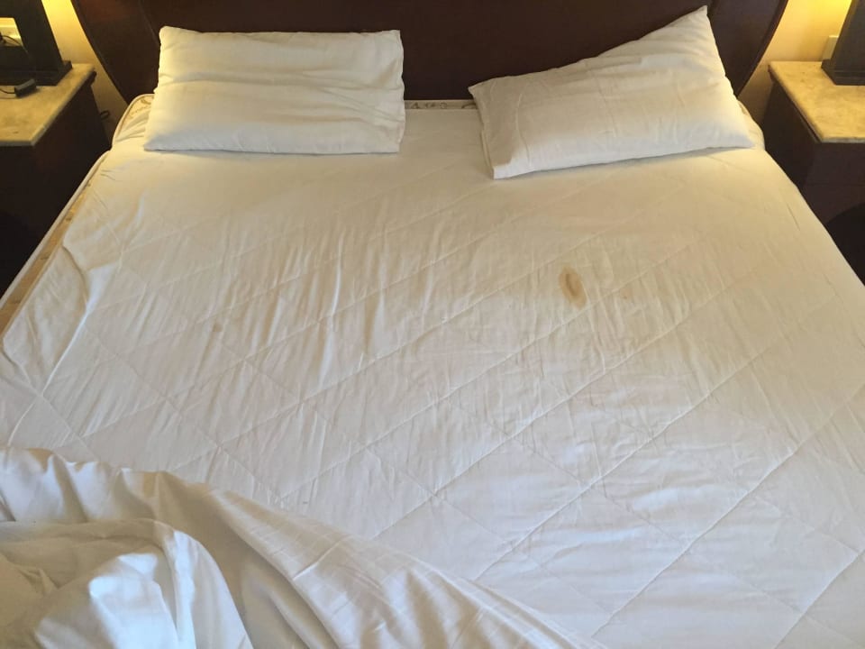 Schlafen Sie gut auf Kacke !!! 5 Sterne Stella Beach Resort & Spa Makadi Bay