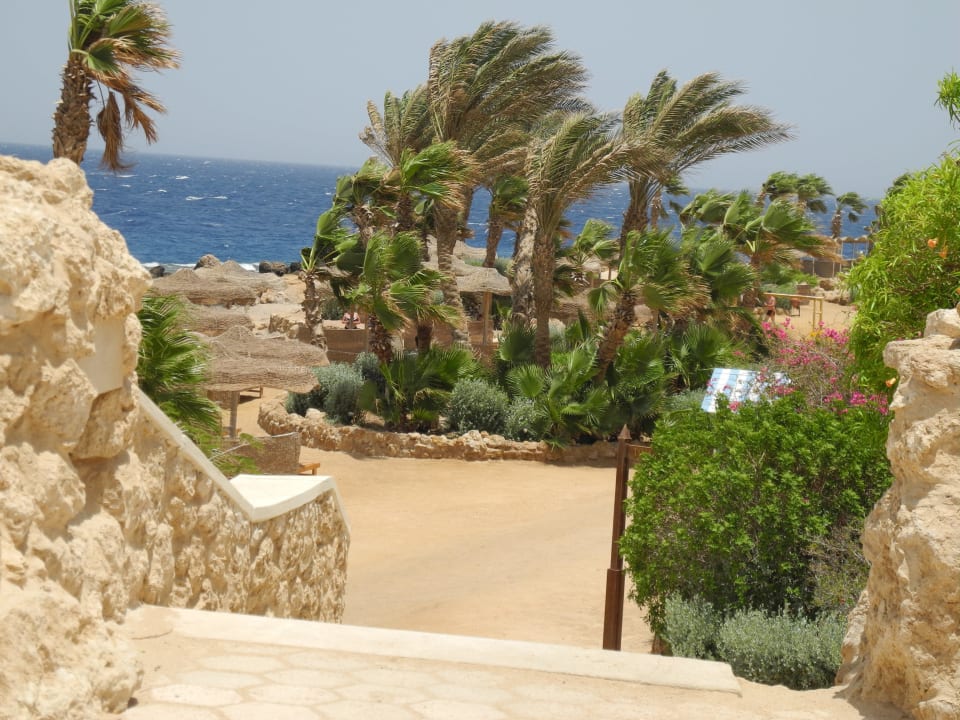 Zugang zum Strand Pickalbatros Citadel Resort