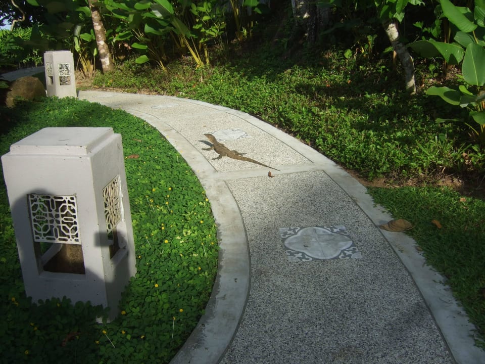 Weg zum Bungalow Moracea by Khao Lak Resort