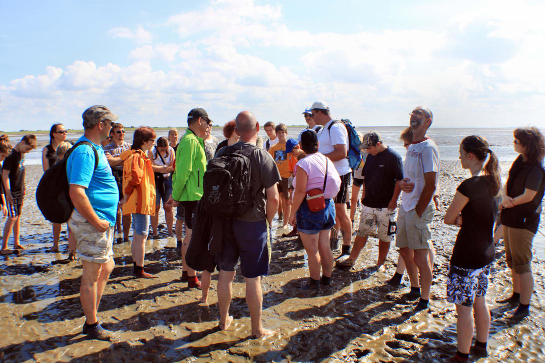 Wattwanderungen sind für unsere Gäste inklusive Resthof Wattenmeer Ferien
