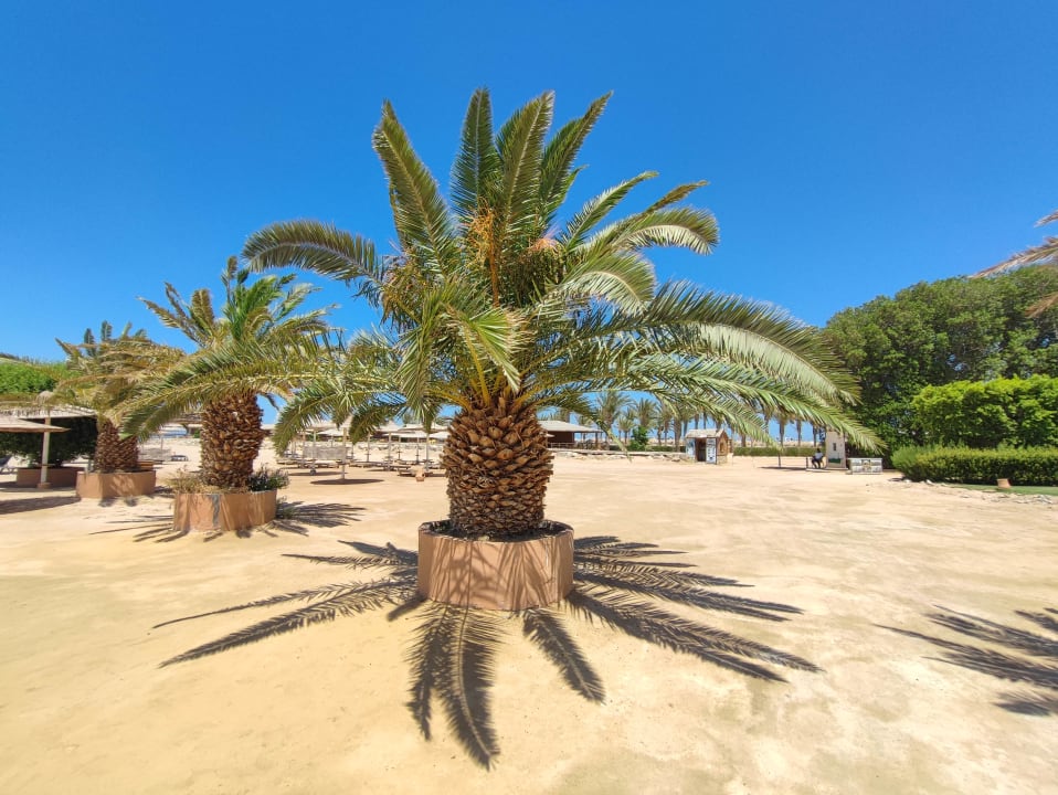 Gartenanlage Stella Beach Resort & Spa Makadi Bay