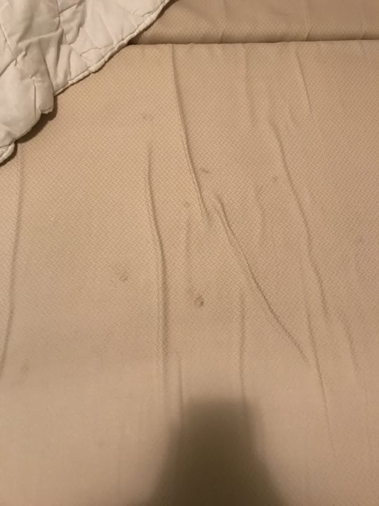 Zimmer Center Parcs Park Zandvoort - Ferienhäuser