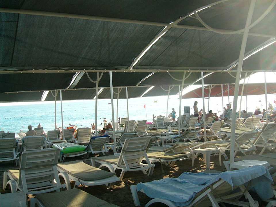 Liegen Sealife Buket Resort & Beach
