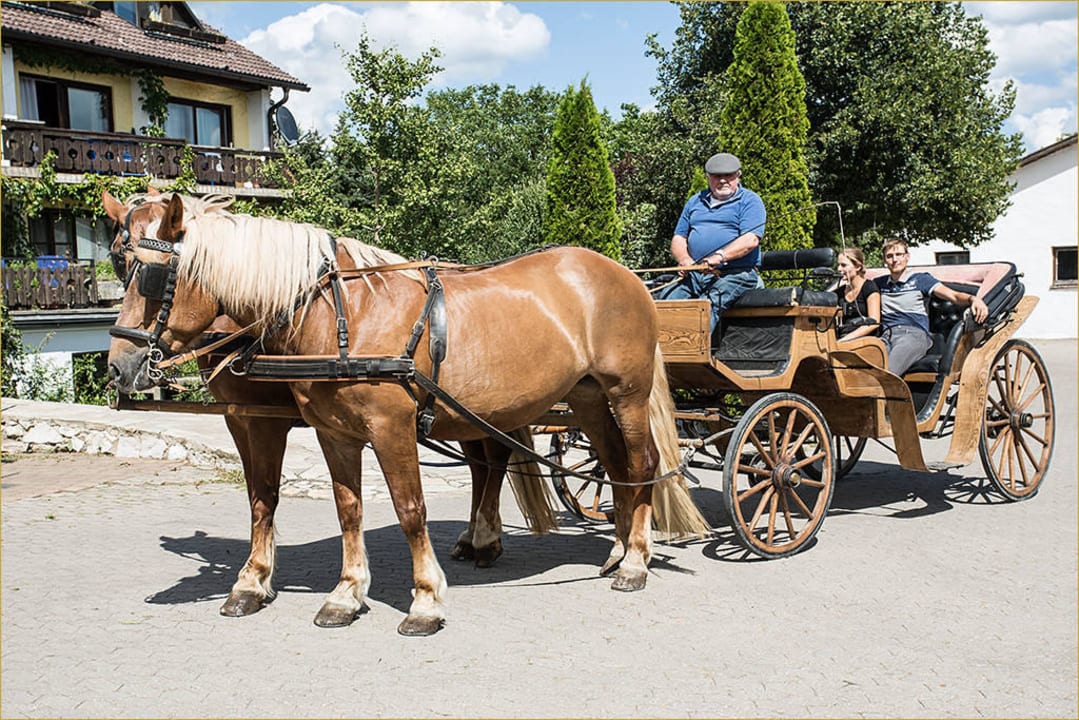 Rundgang per FotoShooting Sommer 2015 Hotel Reiterhof Altmühlsee