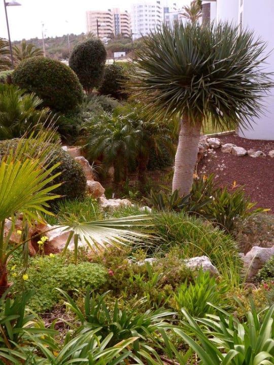 Außenanlage an der Strandpromenade Hipotels Hipocampo Playa