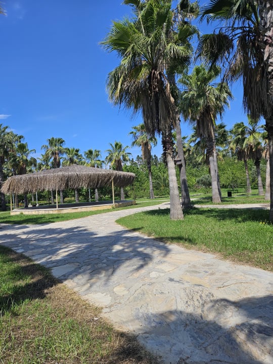 Gartenanlage Alba Resort Hotel