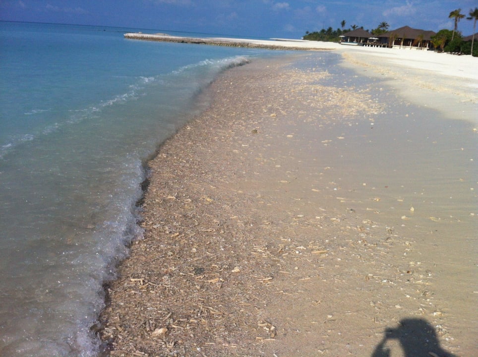 Viel Spaß beim Baden Atmosphere Kanifushi Maldives