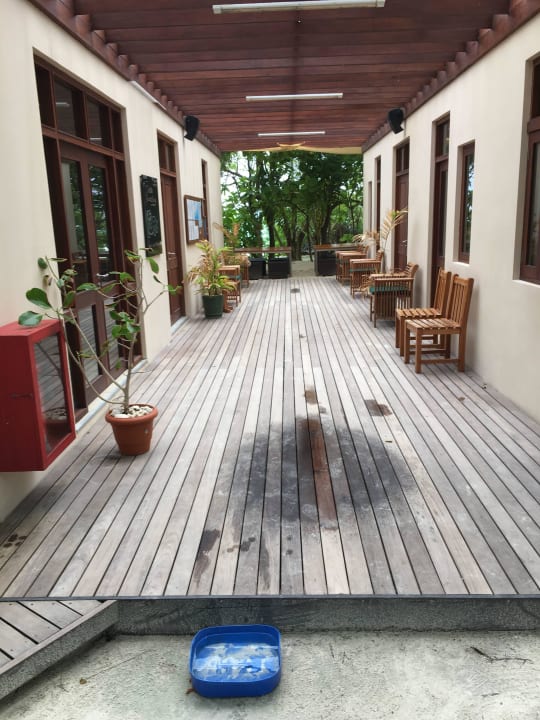 Tauchcenter Summer Island Maldives