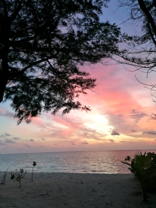 Strand Summer Island Maldives