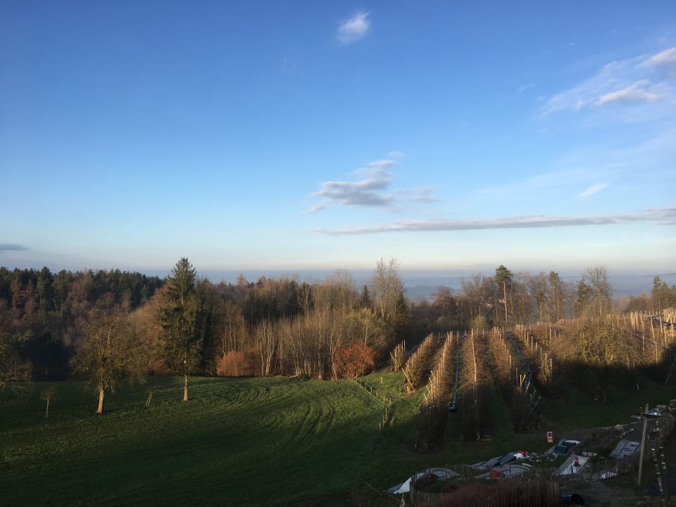 Ausblick Gut Hügle Erlebnisbauernhof