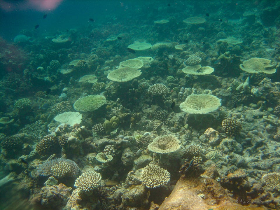 Sport & Freizeit Summer Island Maldives