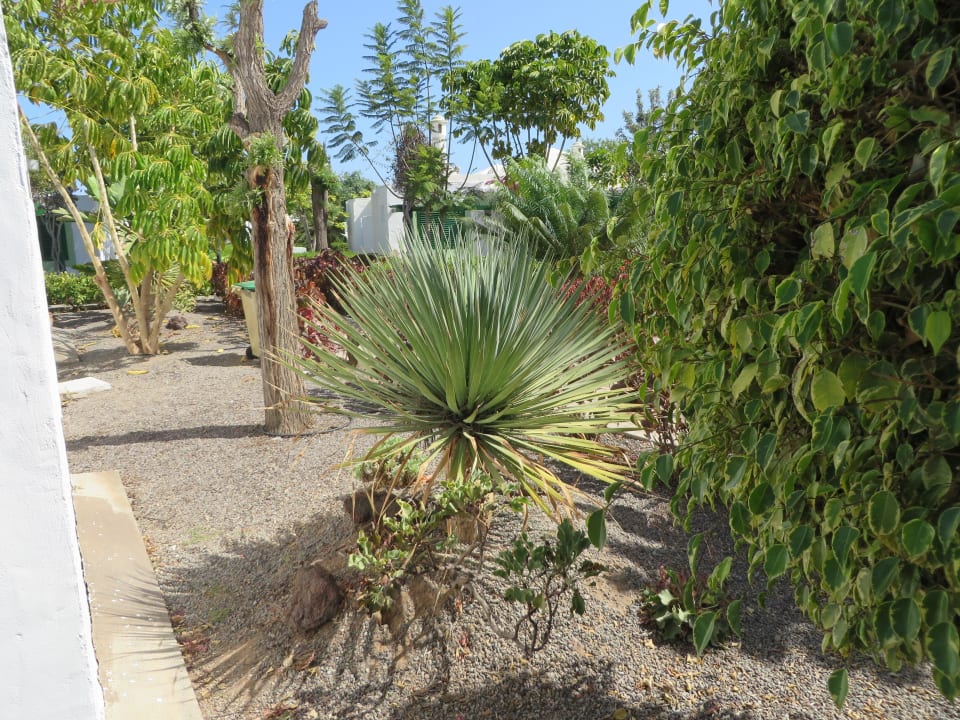 Gartenanlage Bungalows Cordial Sandy Golf
