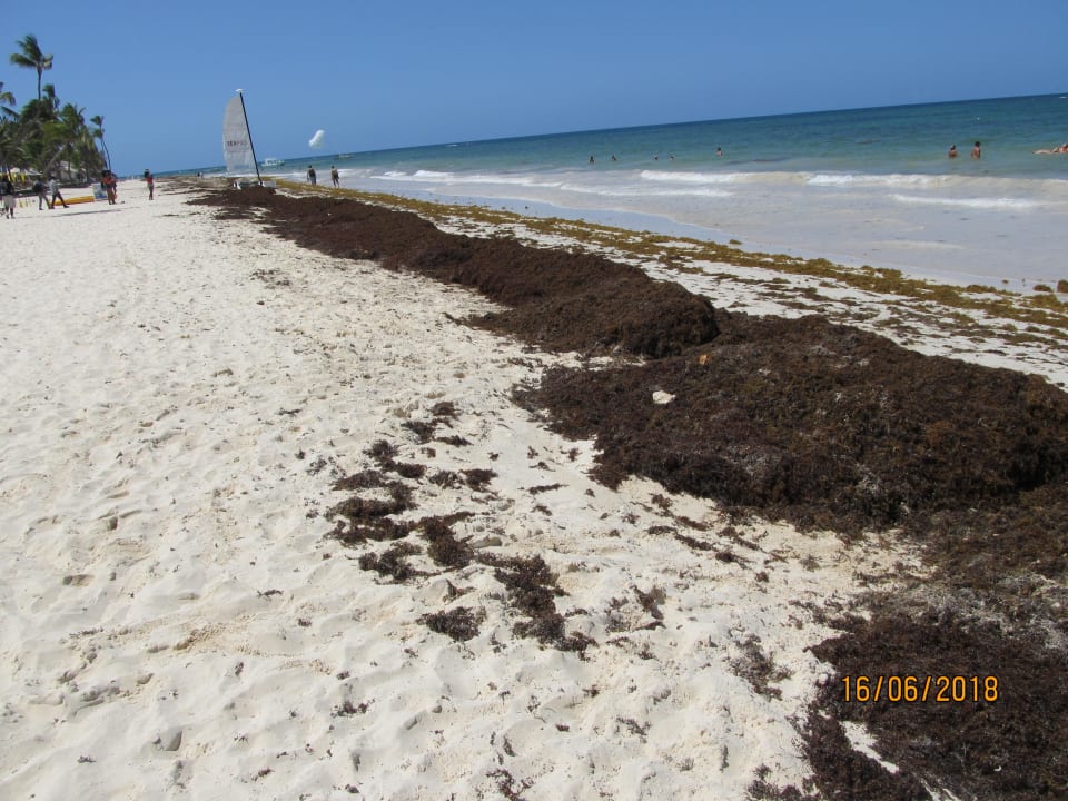 Strand Punta Cana Princess All Suites Resort & Spa