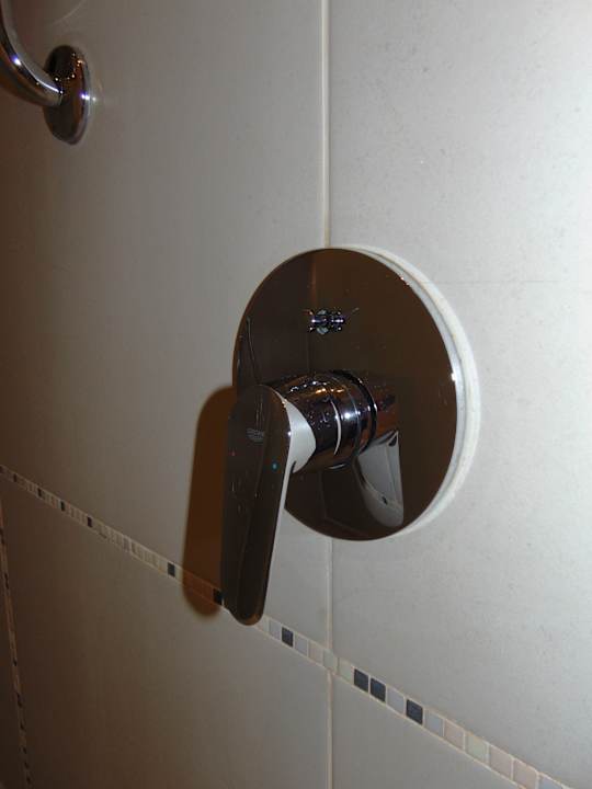 Zimmer Dana Rayhaan by Rotana