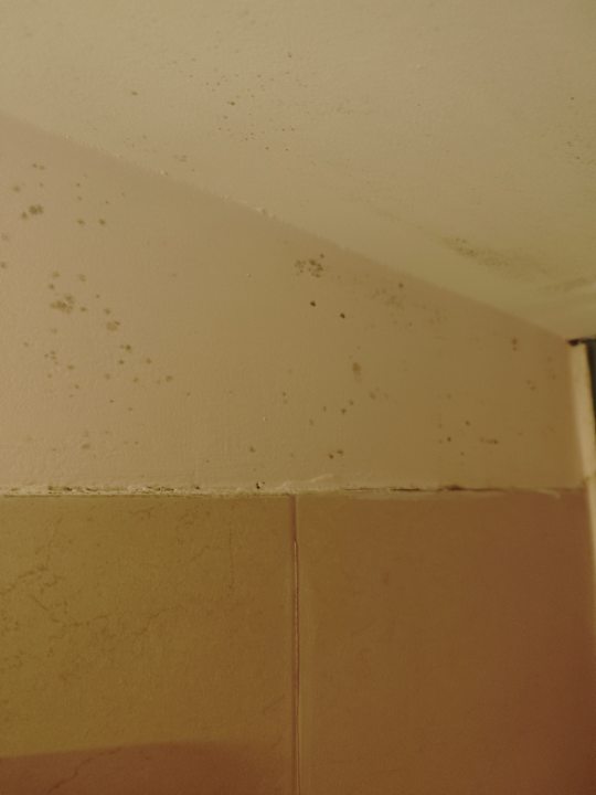 Zimmer Monachus Family Resort Sorgun