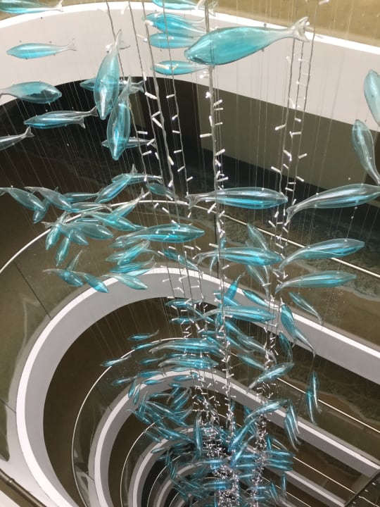 Sonstiges Sentido Marea